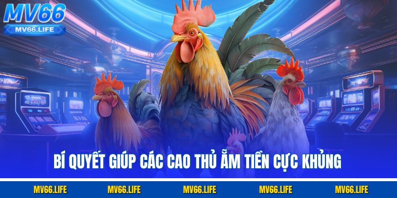 Bí quyết giúp các cao thủ ẵm tiền cực khủng 