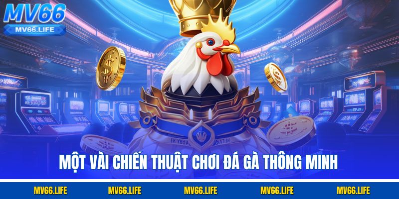 Một vài chiến thuật chơi đá gà thông minh
