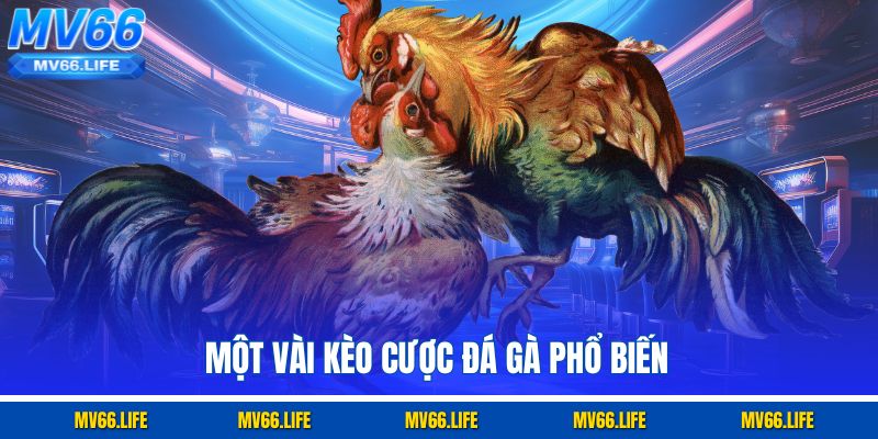 Một vài kèo cược đá gà phổ biến