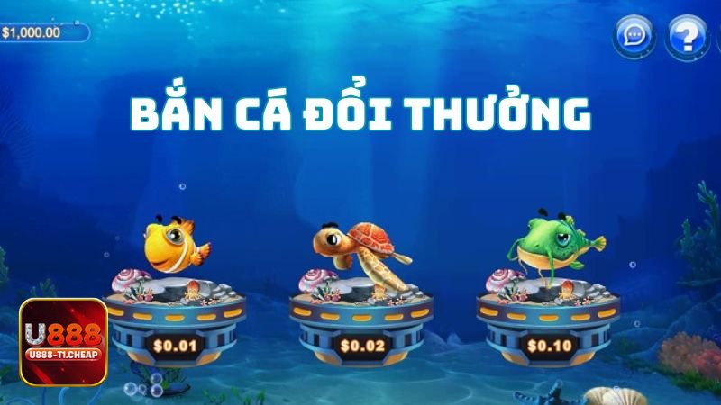 Bắn Cá Hải Tặc - Đồ họa 3D và trải nghiệm đa nền tảng Bắn Cá Hải Tặc - Đồ họa 3D và trải nghiệm đa nền tảng