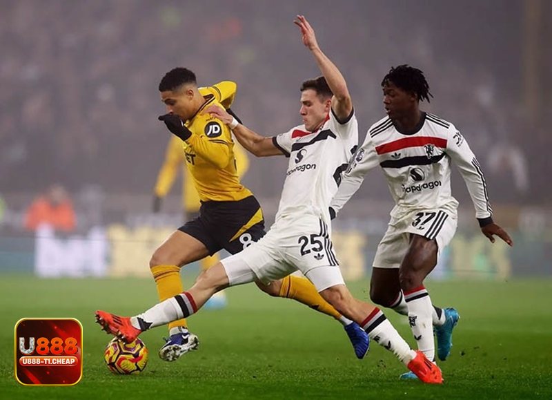 Thể thao SBO - Bộ lọc trận đấu và cách cá nhân hóa danh sách theo dõi Thể thao SBO - Bộ lọc trận đấu và cách cá nhân hóa danh sách theo dõi